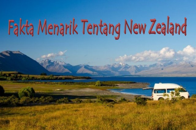 Fakta Menarik Tentang New Zealand